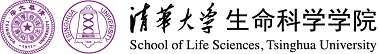 best365中国官方网站